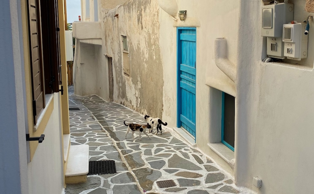 moi me promenant dans ses charmantes ruelles de Chora, la capitale de l'ile de Naxos.