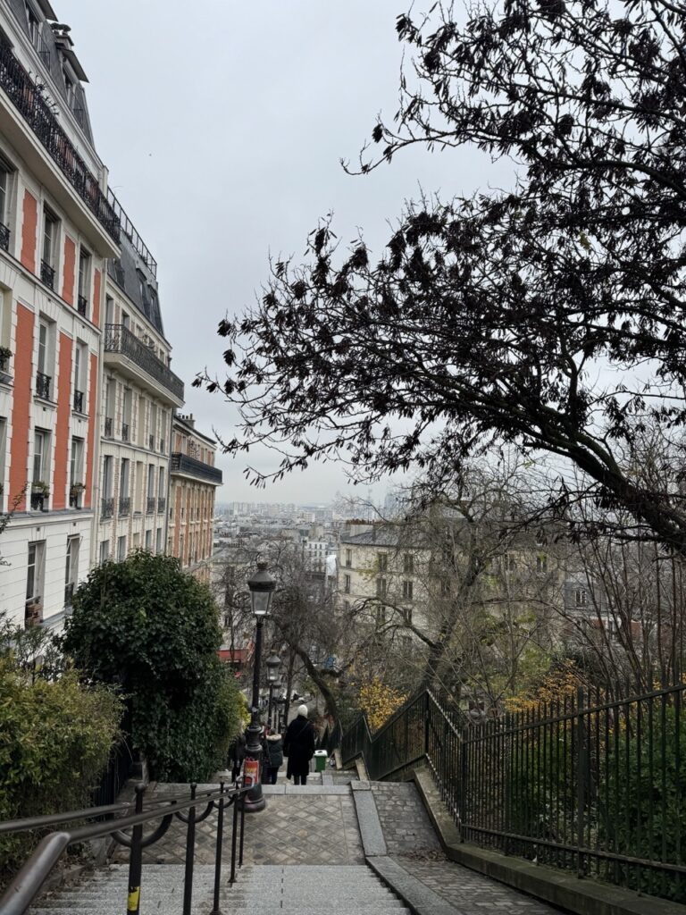 Vous cherhez à voyager seul à Paris ? Découvrez les escaliers de Paris, en vous baladant dans la capitale ! En effet, marcher est une activité incontournable pour découvrir les trésors cachés de la ville