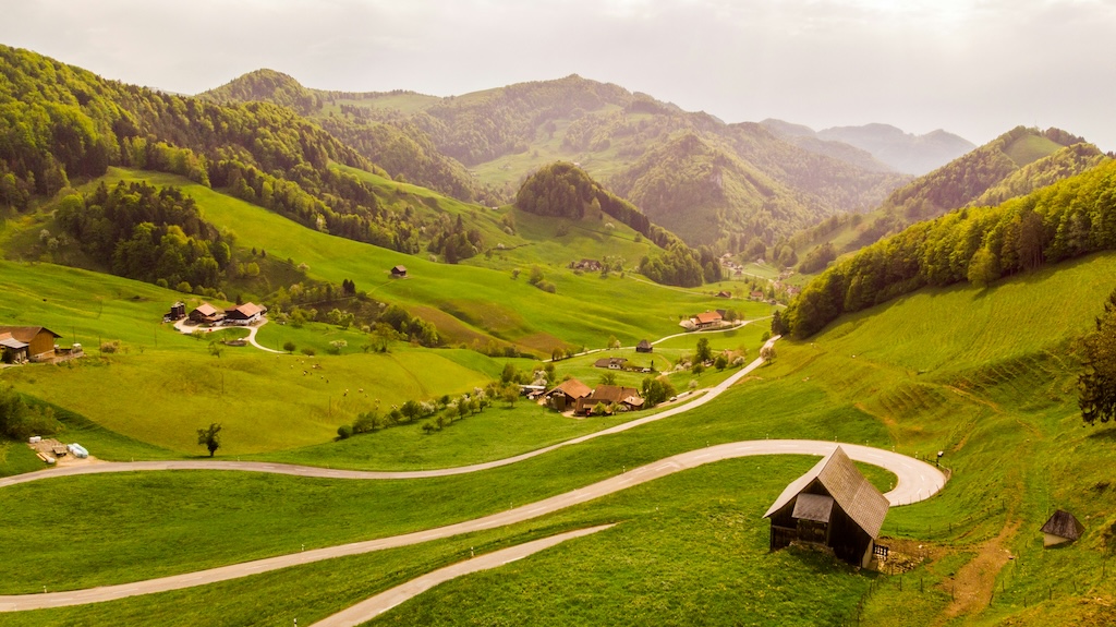 Suisse : Entre Montagnes et Végétation Luxuriante