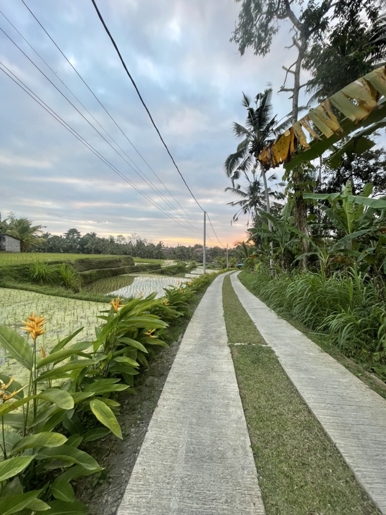 la rue a bali