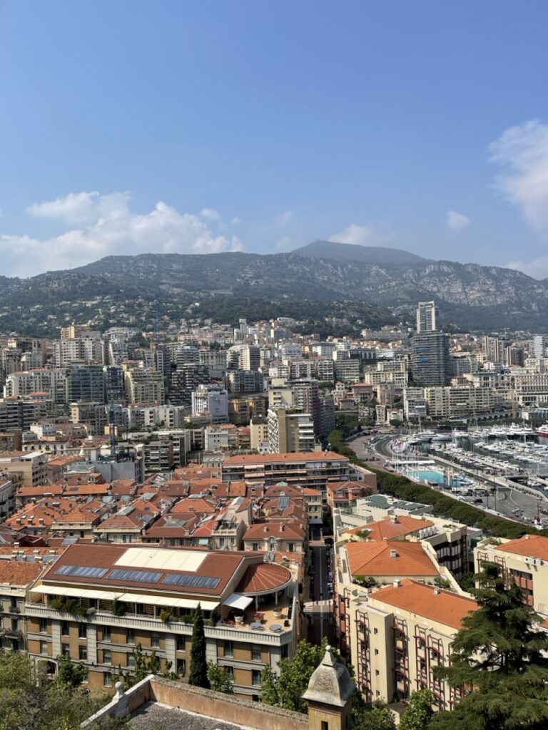 Magnifique vue sur les montagnes, la ville de Nice et le port ainsi que les bateaux qui l'entourent